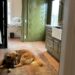 Hillcrest mudroom by Huntley & Co. with Tricia Huntley's dog Ursi