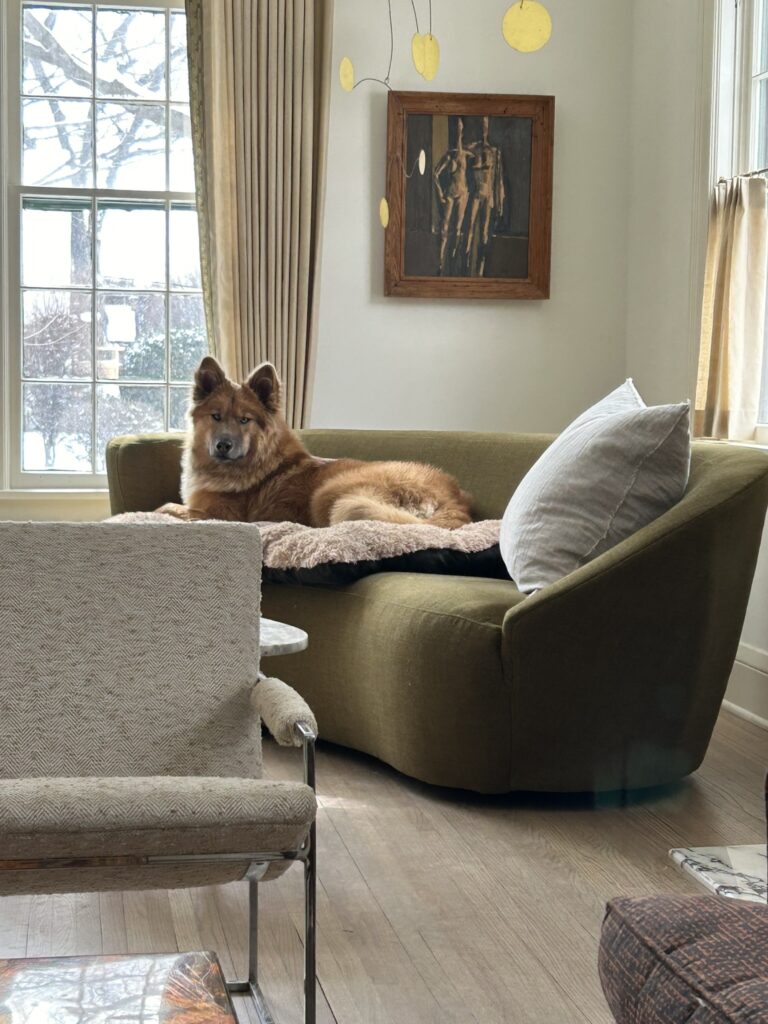 Ursi sits on the curved sofa in the southwest corner of the Hillcrest living room